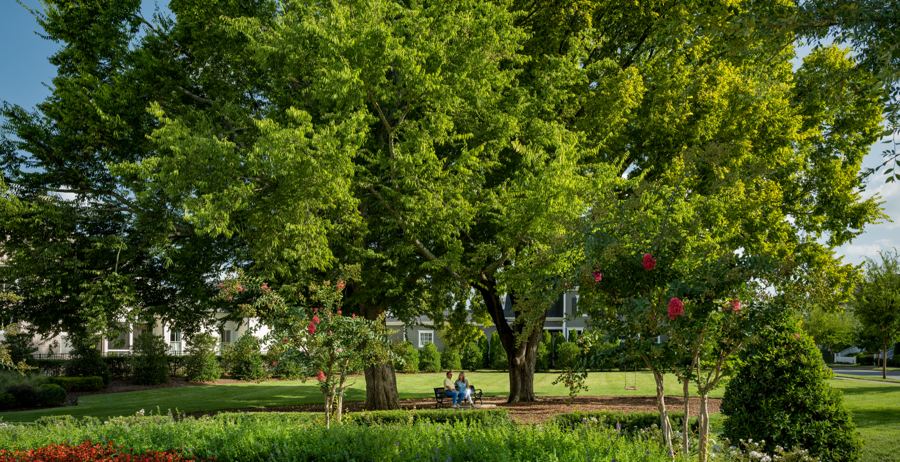 couple sitting on a bench under large trees in a garden